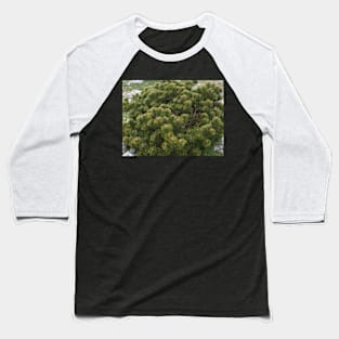 Mountain pine Baseball T-Shirt